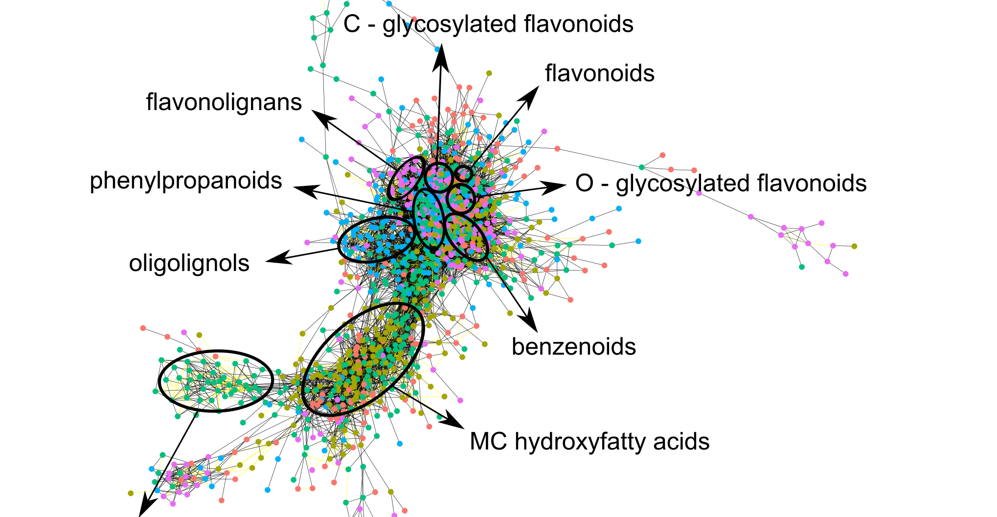 Systematic identification of secondary metabolite structures in Arabidopsis and biomass crops